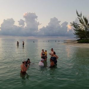 Meet your Posher, Frances